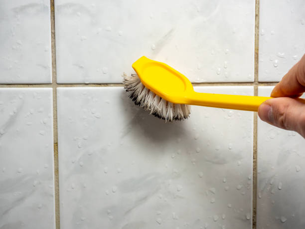 Best Same-Day Mold Removal  in Marine, IL