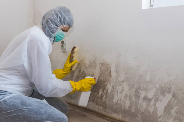 Best Mold Testing  in Marine, IL