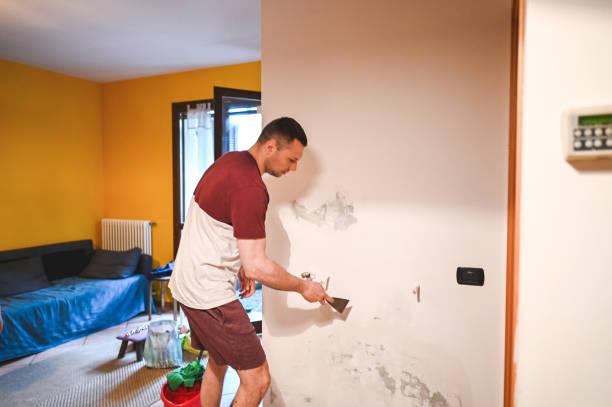 Best Fast Mold Removal  in Marine, IL